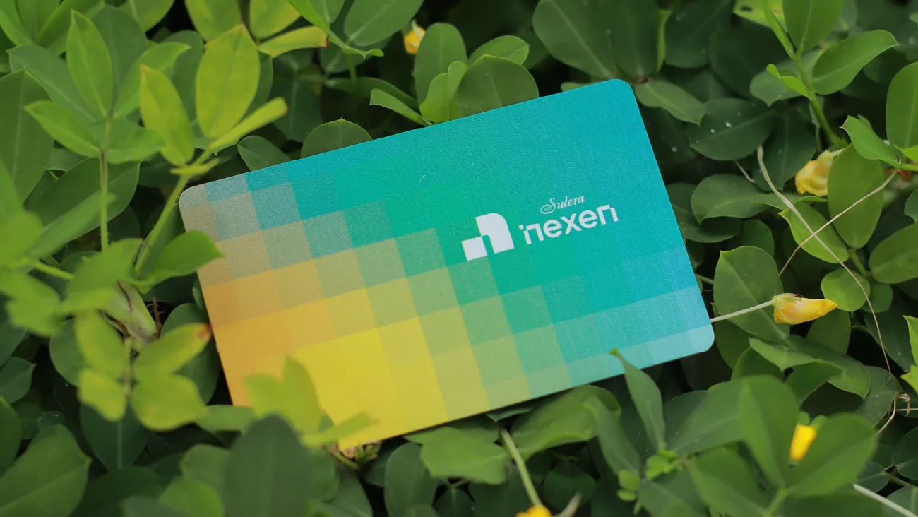 Pixel-gradient Nexen card lying among green leaves